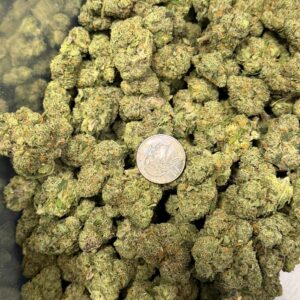 Lemon Cherry Gelato