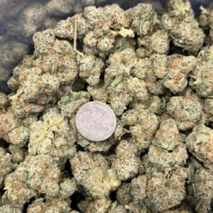 Kundalini Sherbet