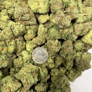 GALACTIC COOKIES