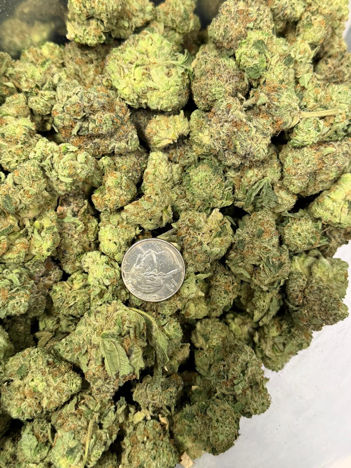 GALACTIC COOKIES