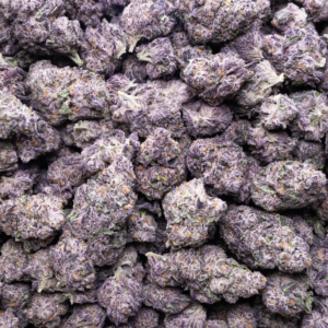 Purple Ring Pop