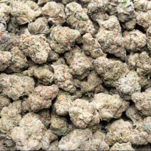 Alien OG