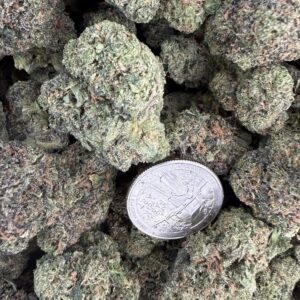 SUNSET SHERBERT