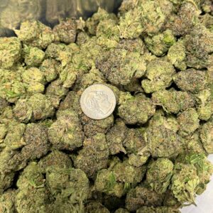 SUNSET SHERBERT
