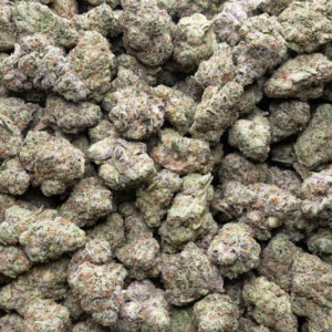 TERP SLURPEE