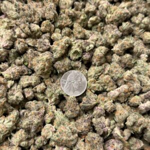 BBUD-CHERRY TROP