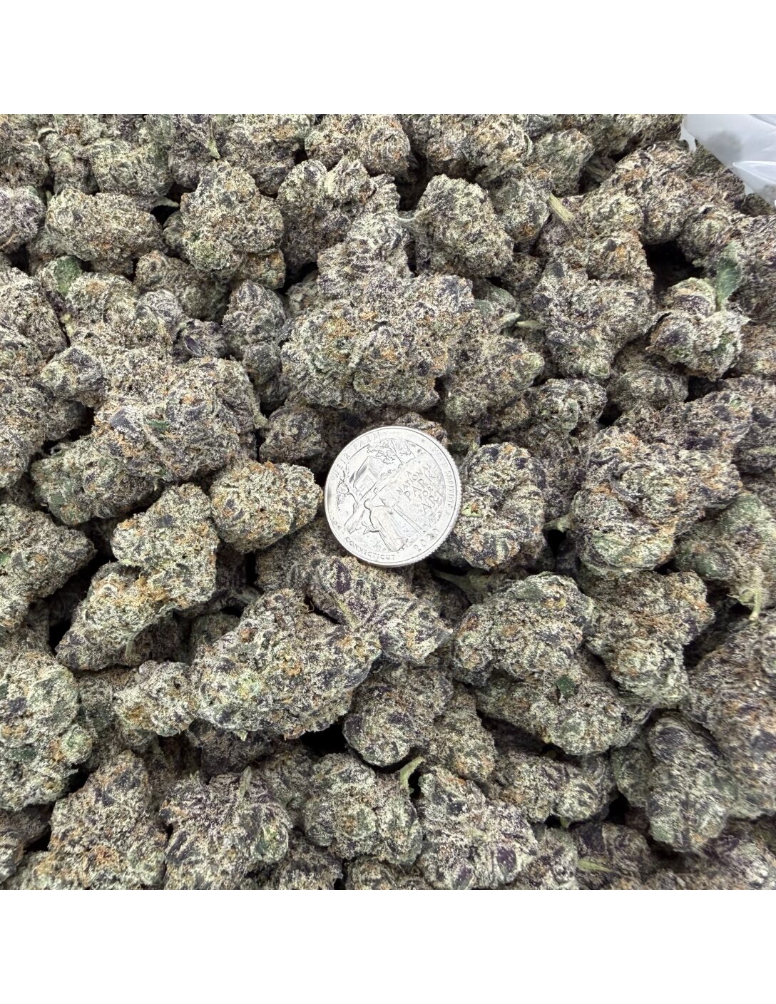 GELATO