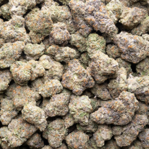 GELATO