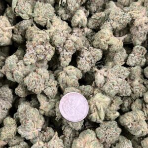 JUPITER OG