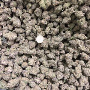 SOUR ZKITTLEZ